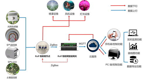 可視化農業軟件開發 創新技術與應用前景